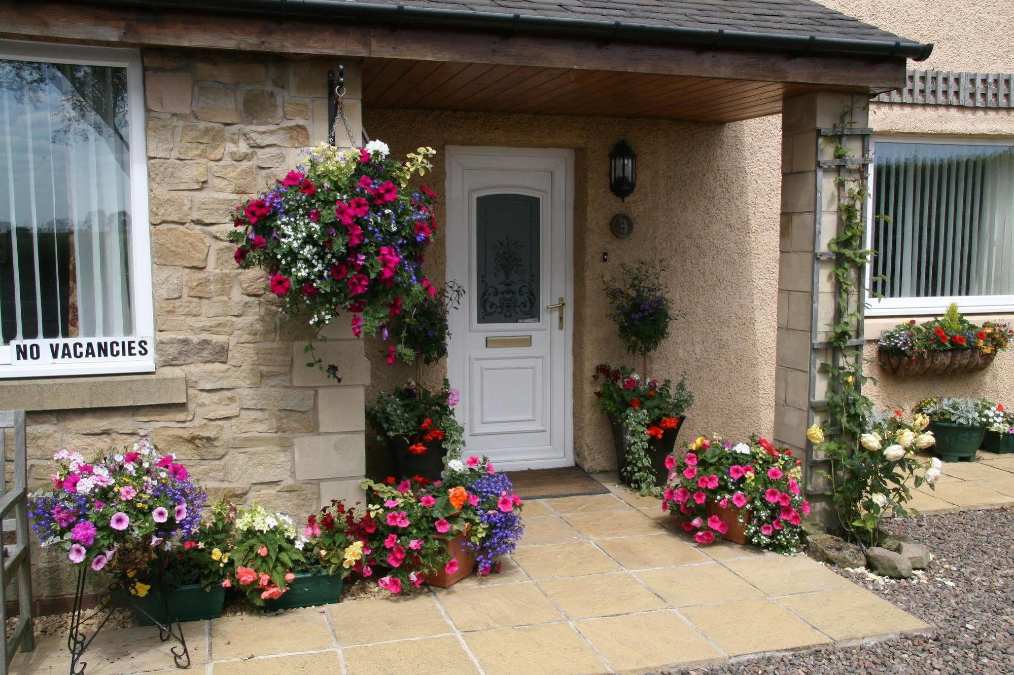 Northumberland Cottage B&B Acklington Zewnętrze zdjęcie
