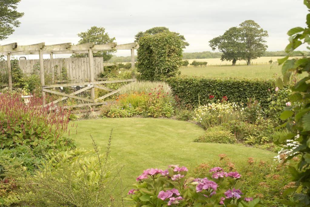 Northumberland Cottage B&B Acklington Zewnętrze zdjęcie